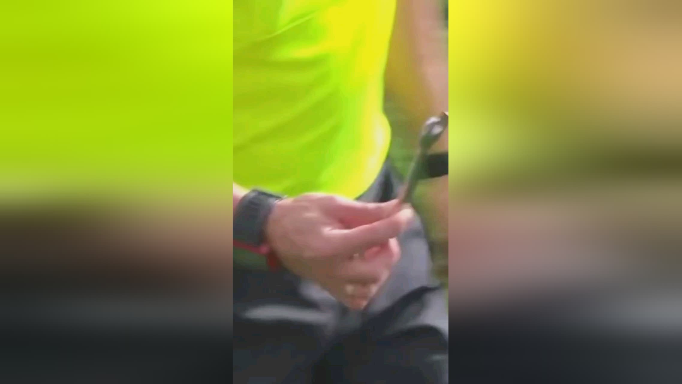 的表现常